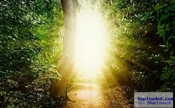 Researchers From University of Southampton Prove There Could Be Life After Death